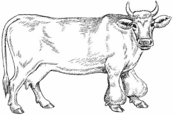 Бурсит